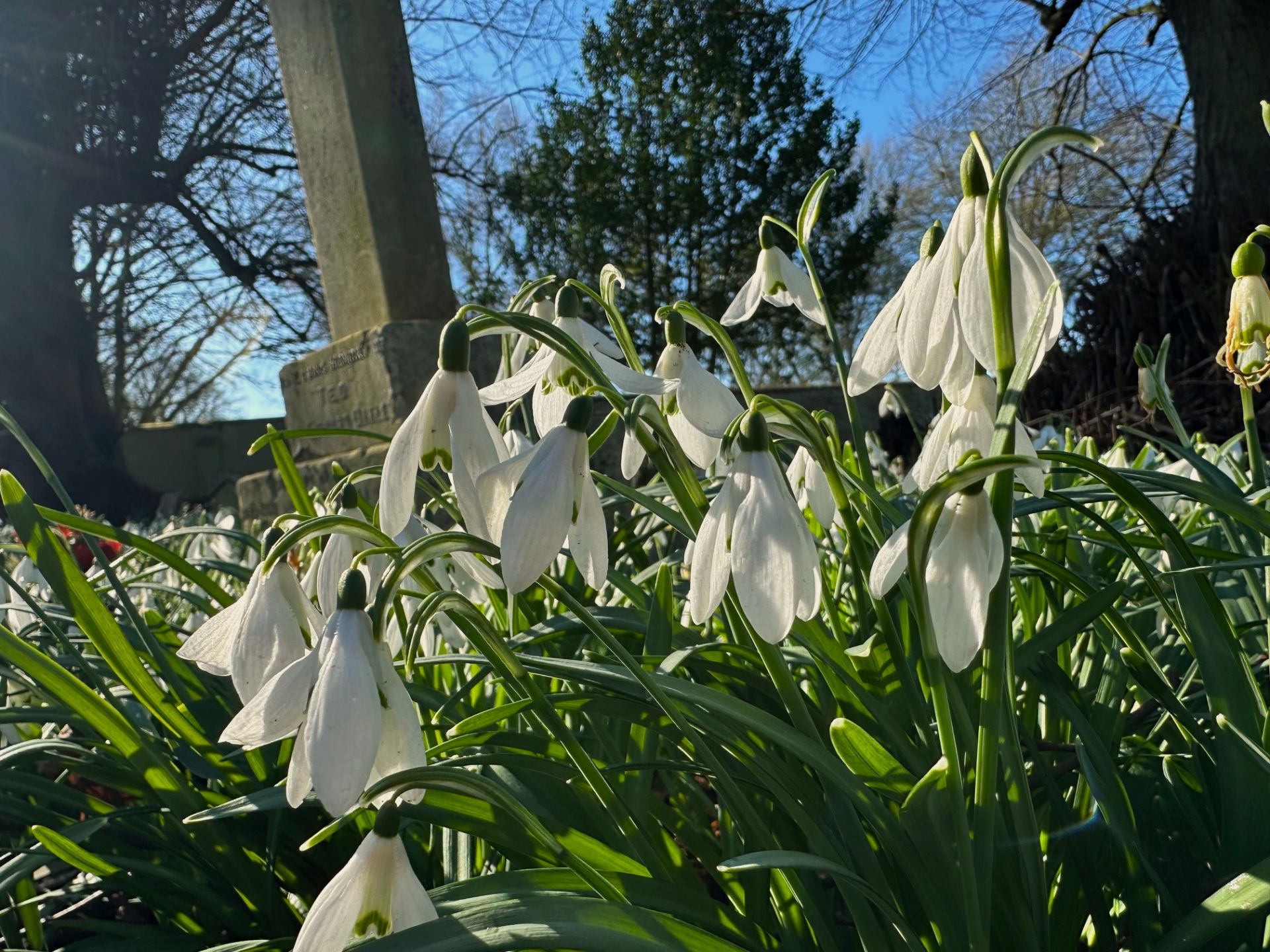 Churchyard at Eversholt